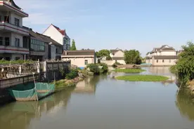 平湖过家溪 | 是平湖过氏大族世居之地图片