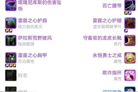 魔兽TBC：P3熊T装备搭配，44%暴击仇恨稳，就是装备有些难搞图片