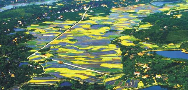 柳叶湖建区30周年回眸｜从绿水青山到金山银山的蝶变之路(图14)