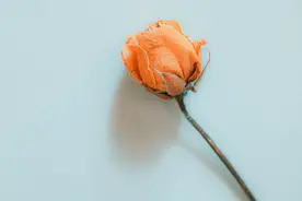 层次越低的女人，越喜欢做3件事，别不信图片
