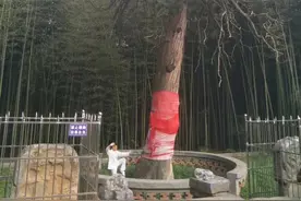 石堂山文化图片