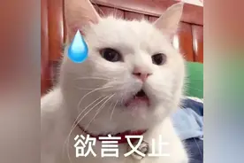 女大学生抽烟的背后图片