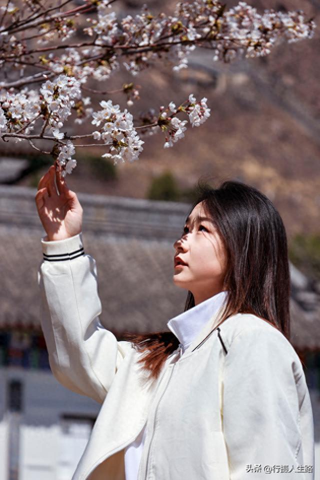 山海关旅游攻略(山海关一日游最佳路线是什么)