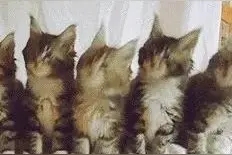 女朋友痛经男人会真的心疼吗？图片