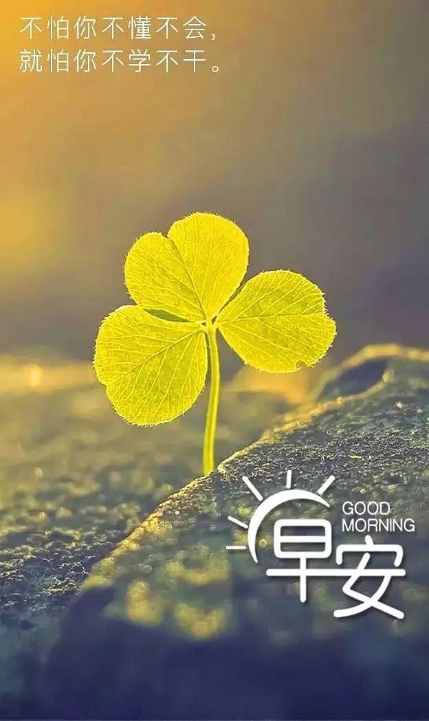 清晨朋友圈励志签名句子，忘记弱点，增加优势，成为最棒的自己