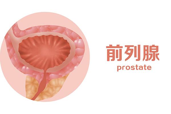 精子与卵子完美相遇，需要具备什么样的条件？是如何被激活的？