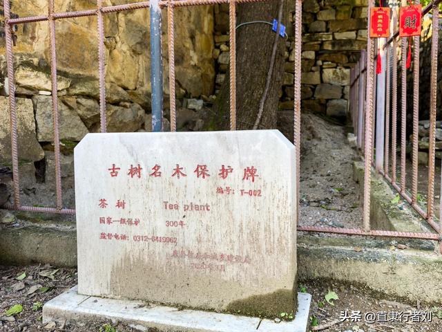 朋友携家人开车四小时去山西悬空寺却败兴而归，于是带他们来这儿