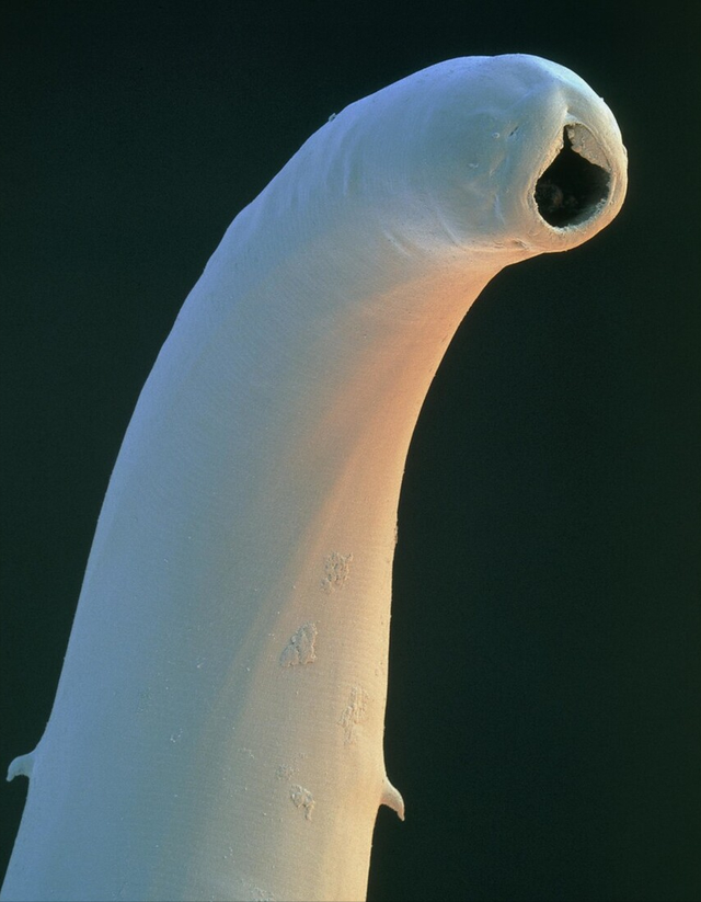 ô֪ûг棿