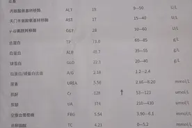肌酐，从此我俩对上了图片