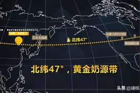 超市里进口牛奶1L6.5元，比蒙牛便宜4倍，却为什么比蒙牛的好喝？图片