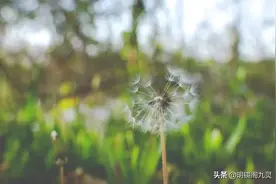 你做过哪些神奇的梦？一起聊聊“梦”图片