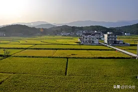 农业补贴存在的问题：补贴不稳定，落实不到位，拿补贴不认真种图片