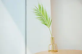 生活中总结出来的小常识图片