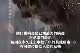 辛普森的预言这部动画说2023年有丧尸病毒。要成真了么？图片