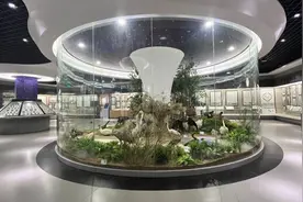 “打卡”河南科技学院标本馆，上一堂“不一样的科普课”|“趣”探新乡博物馆②图片