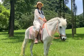 带外地游客游大龙潭风景区图片