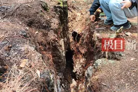 贵州9岁男孩失踪13年后尸骨现身山林地缝，两名村妇被警方带走图片