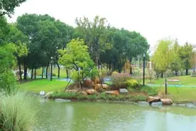 闵行生态景观网红打卡点在哪儿，有什么特色？丨民生访谈图片