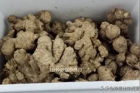 保存生姜不要直接放冰箱，教你两个简单的方法，放半年不坏，实用图片