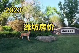 潍坊1100个小区二手房房价汇总，挂牌均价7656元！图片