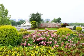 赤壁砂子岭公园：长夏初醒春未尽，半园绿树半园花！图片
