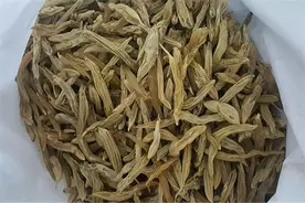 一味“挖痰”的中药！上养肺，下养肾，外养皮，润燥生津图片