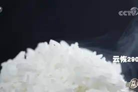 要说吃大米，这里还没服过谁图片