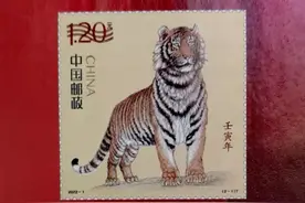 王者归来 虎年说虎图片