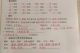 寒假开始，马上预习新课危害大？先巩固本册才是明智之举图片