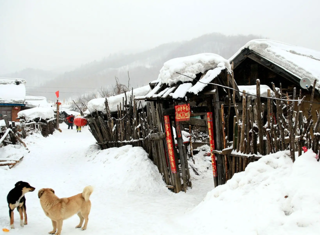 东北的几款“可怜酒”曾经历史辉煌，现在走出关东无人认识