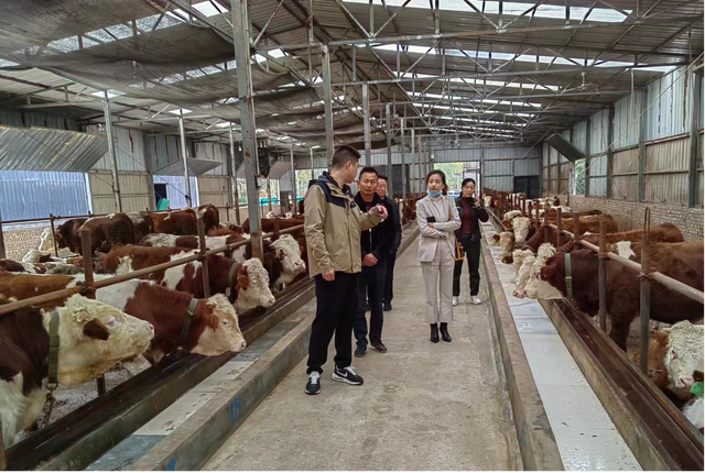 四川省民生研究会新媒体中心-官网