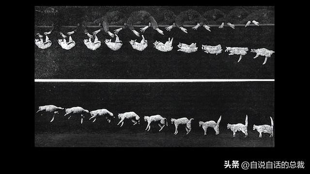 熊猫：真实存在的上古恐惧，为什么只有人类觉得大熊猫很可爱？