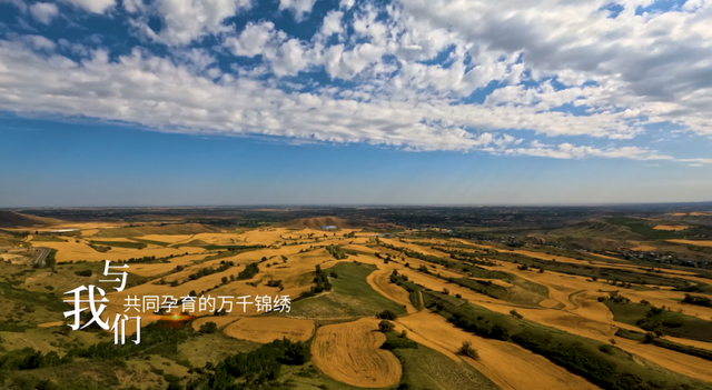 《拾光唐朝路》在千年古道上，带你读懂新疆的 “过去与现在”