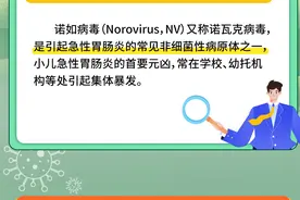 图解丨“诺如病毒”进入高发期！有啥症状，具体咋治疗？图片