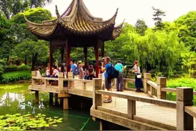 草木知礼仪 |“臭名远扬”鸡屎藤，上巳寒食菜清明——节日花木图片