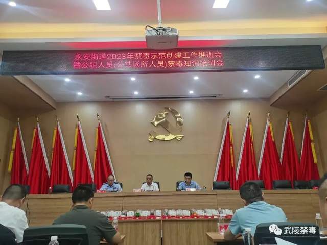 【回眸6·26】武陵区禁毒宣传活动精彩集锦(图19)