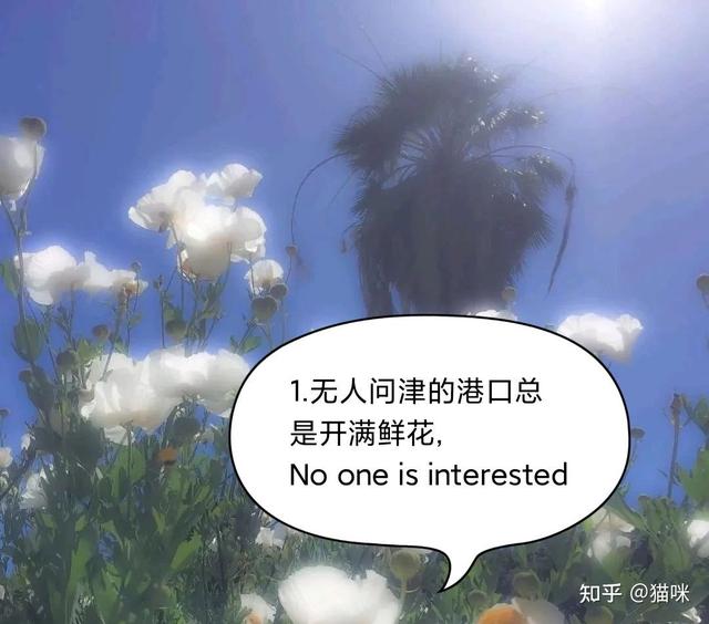 朋友圈文案|温柔美好的小句子|中英