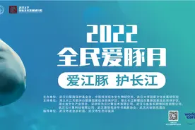 江豚两年“现身”180头次“微笑天使”重返武汉江段图片