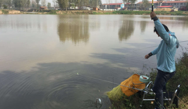 使用钓鱼添加剂不要只盯着小药，这些生活常见品效果更好