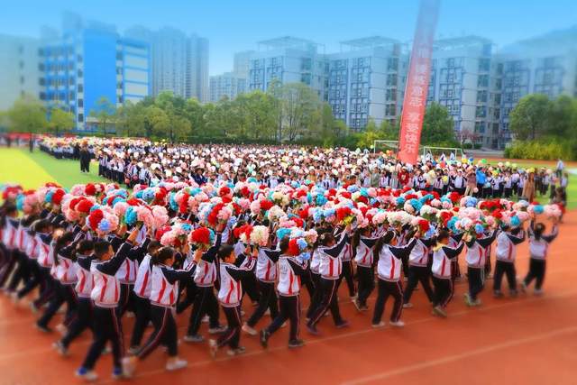 四川省民生研究会新媒体中心-官网