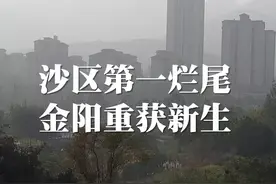 实地航拍！重庆“烂尾楼”金阳第一农场最新工程进度图片