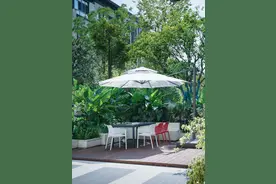 城市里的慢生活天花板：园林小院，把日子过成治愈系电影图片