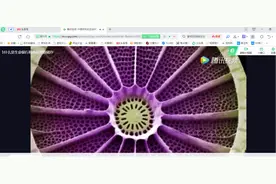 网页中的视频如何下载到电脑上图片