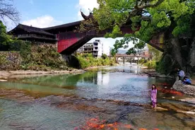 赴“浙南净土”泰顺，来一场清心养肺之旅，十大旅游好去处任你挑图片