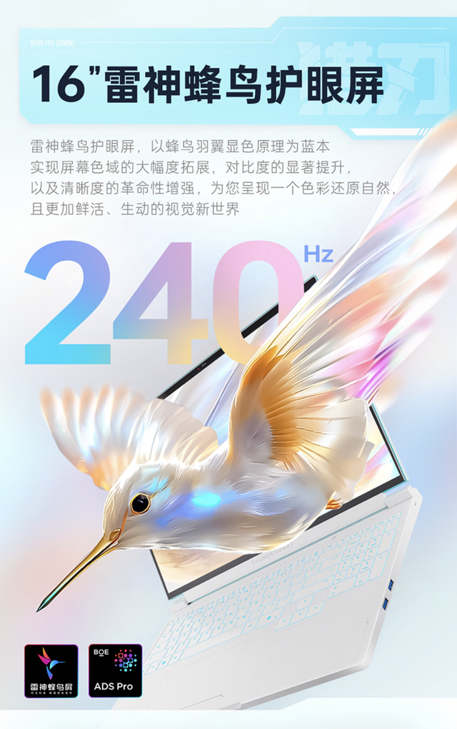 雷神/机械师游戏本新品上架预约：全新外观配置，国补后7499元起