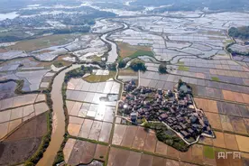 【春日里的中国】壮美农田色彩斑斓 大地宛如“调色板”图片