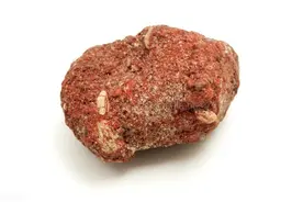 中兽药知识---安神类中兽药简介及畜禽用量图片