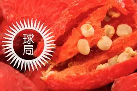 宁夏，藏着什么大宝贝？| 地球知识局图片