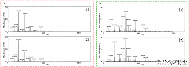 解吸电喷雾质谱成像(DESI-MSI)阐明板蓝根品质特征