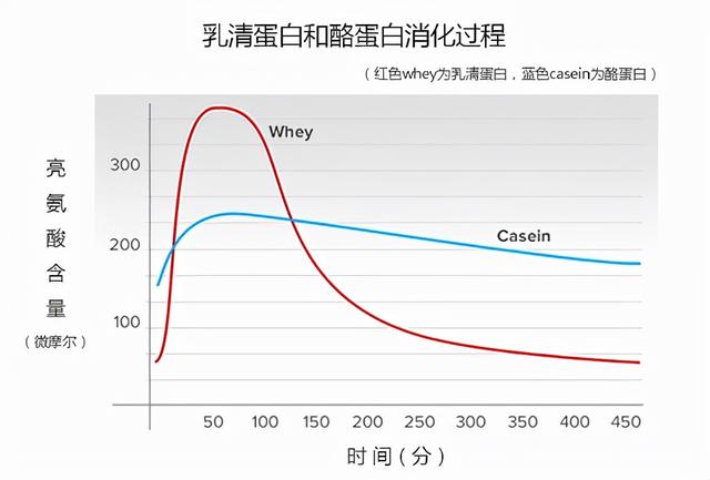 夜晚之神可持续的健身品酪蛋白